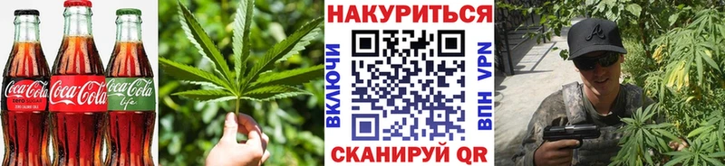 Canna-Cookies марихуана  Купить  Холм 