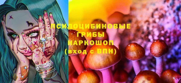 дмт Богородицк